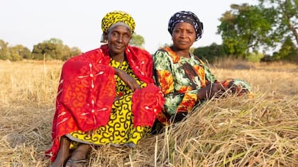 Senneh (a la izquierda) y Ceesay cultivaban arroz pero los campos ahora son salinos