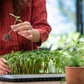 Qué hacer en el jardín durante septiembre para una primavera abundante