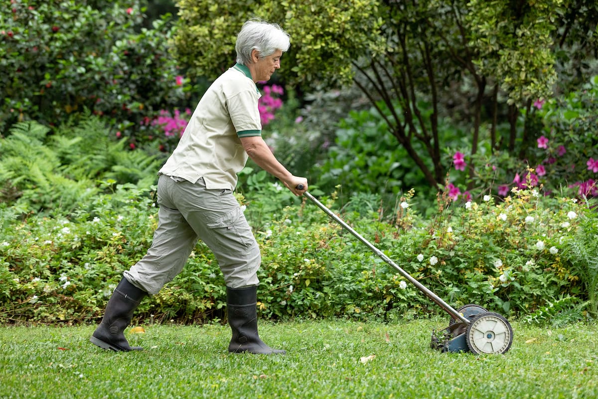 Septiembre y octubre son los meses ideales para sembrar.