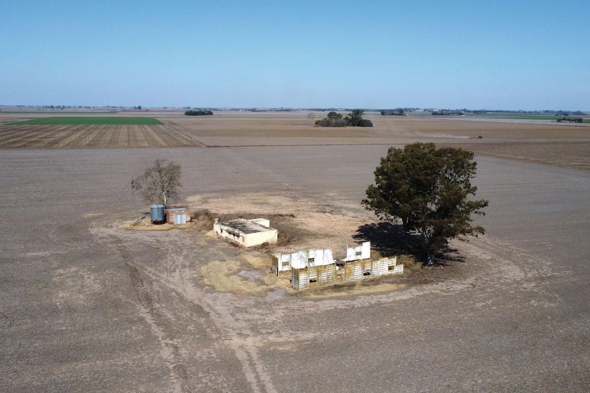 sequia en campos de Chabas , productor juan javier Berincas