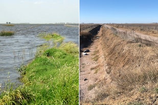 Tras la feroz sequía, el antes y después de la laguna Curarú en el partido bonaerense de Carlos Tejedor