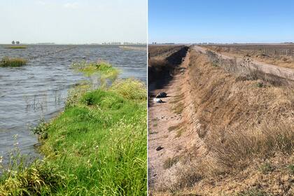 Sequía en Carlos Tejedor