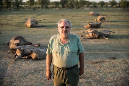 Gustavo Giailevra, productor de Pozo Borrado, en el norte de Santa Fe, perdió más de 200 vacas por la sequía