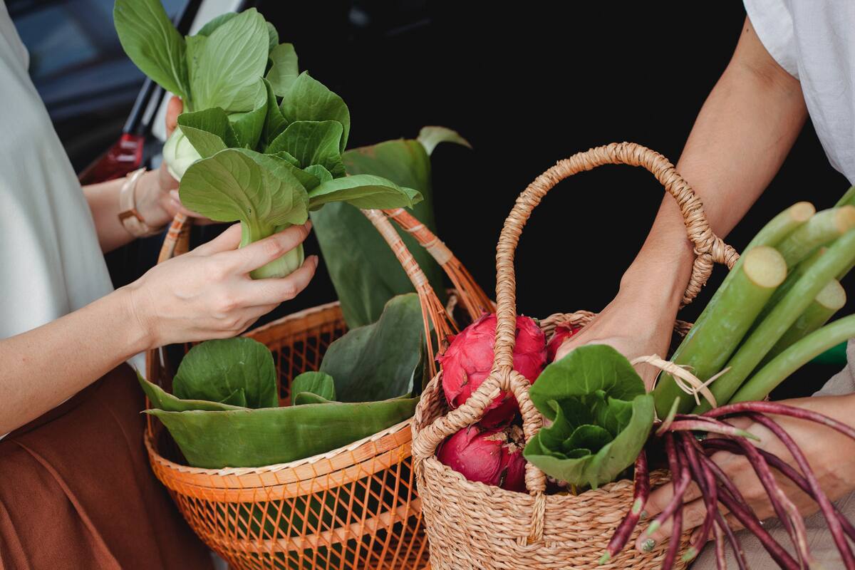 Ser conscientes de lo que comemos, lo que usamos y lo que compramos, de eso se trata. Enterate cuáles son los nuevos productos que se suman a esta "movida verde" y llegan con descuentos de Club.
