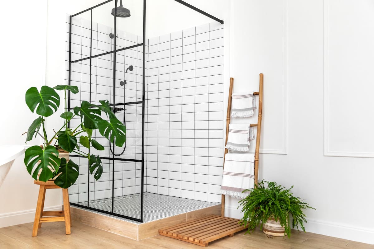 Ser resistentes a la humedad, la principal condición para que las plantas prosperen en el baño