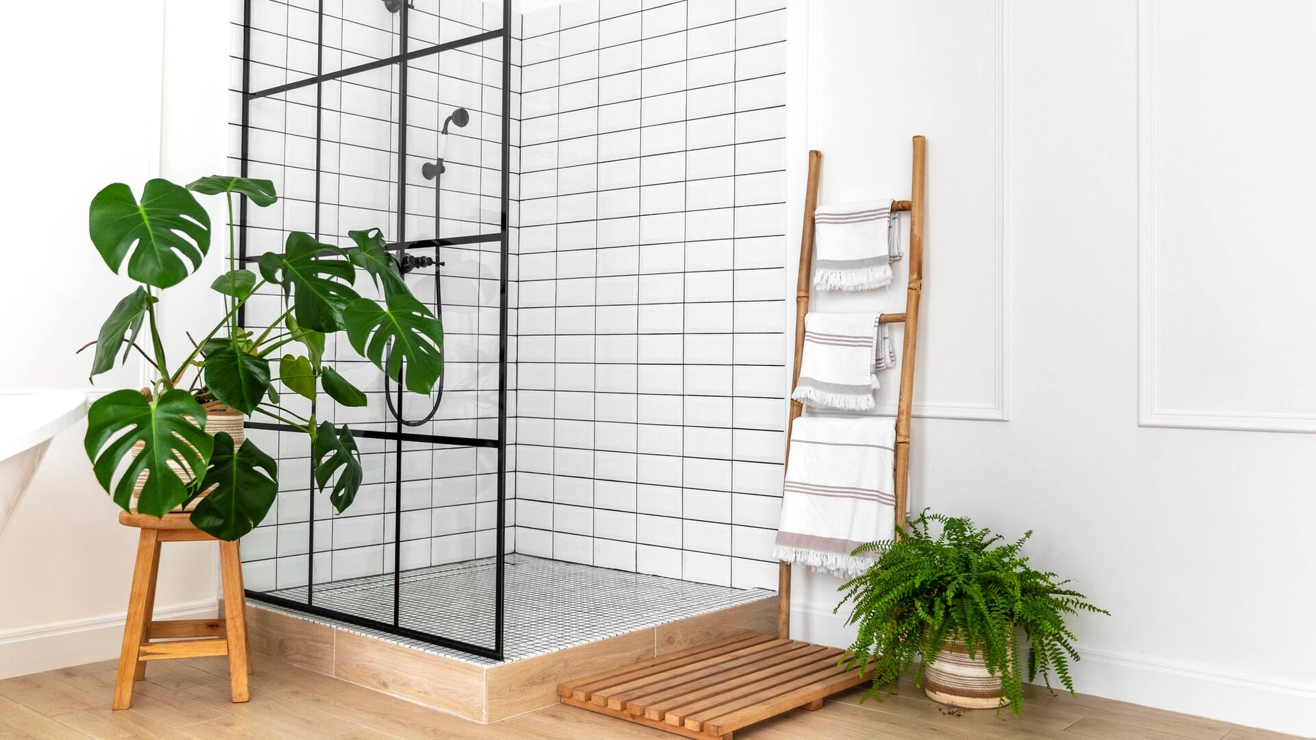 Ser resistentes a la humedad, la principal condición para que las plantas prosperen en el baño