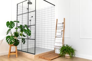 Ser resistentes a la humedad, la principal condición para que las plantas prosperen en el baño