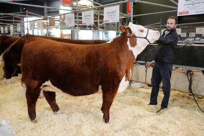 Serafín Sillero, con Hereford en la muestra