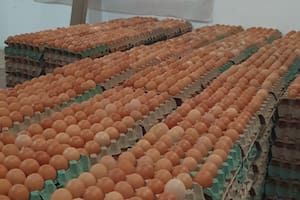 Un acuerdo permitirá la donación de 700.000 huevos