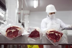 El Gobierno oficializó el reparto para el nuevo ciclo comercial y definió las empresas que exportarán carne premium a Europa