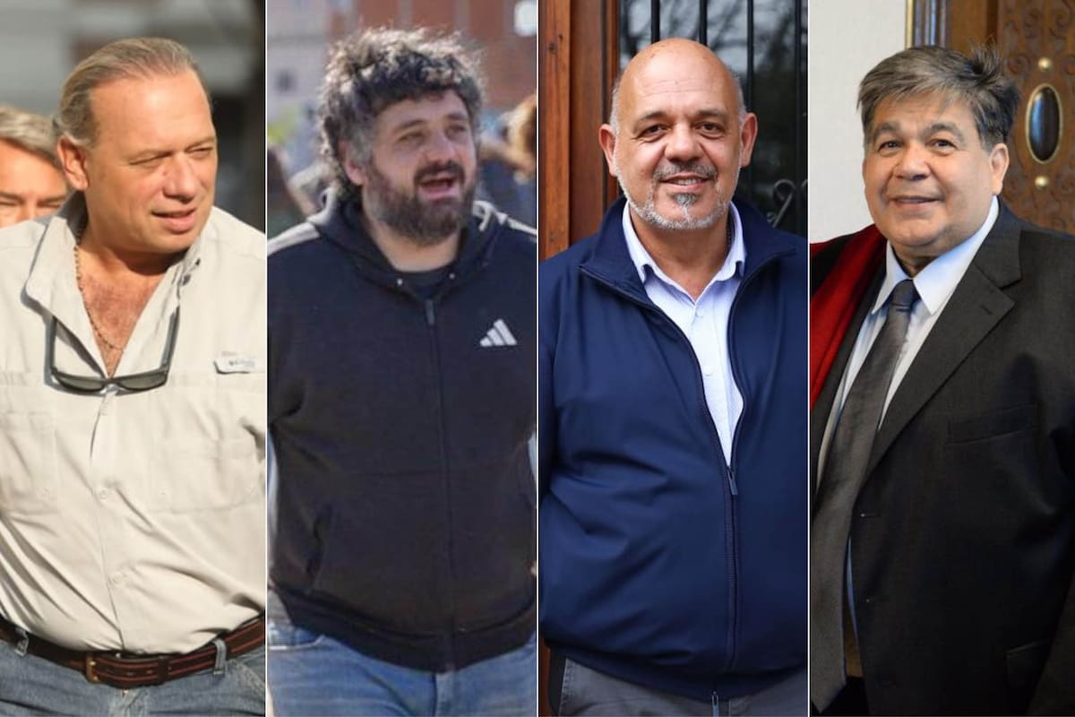 Sergio Berni, Facundo Tignanelli, Carlos Curestis, Mario Ishii