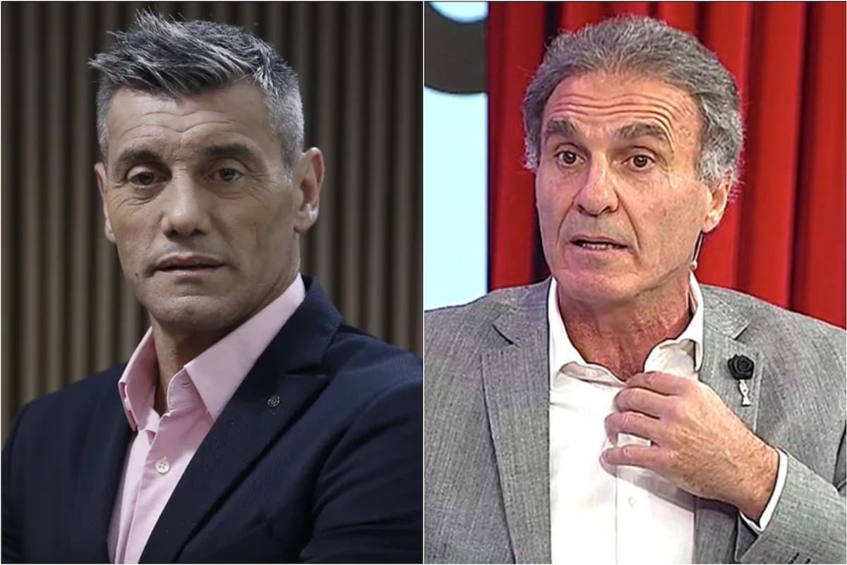 Sergio Goycochea apuntó contra Oscar Ruggeri (Foto: Archivo)