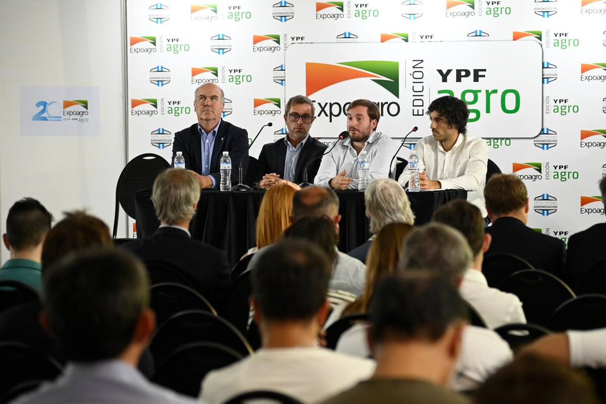 Sergio Iraeta, Federico Furiase, Felipe Núñez y Martín Vauthier