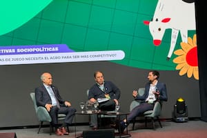 El Gobierno ratificó una iniciativa para que el aporte al Instituto de la Carne sea voluntario