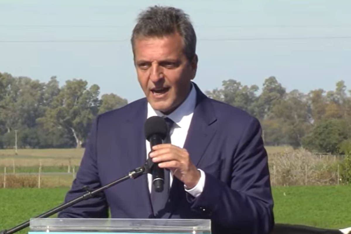 Sergio Massa, el técnico no matriculado