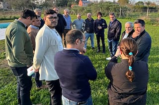 Massa se lanza a la campaña y recorre municipios