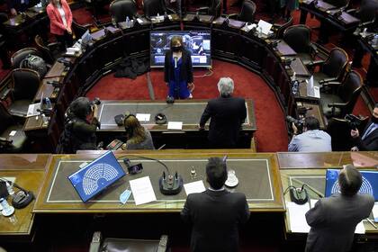 Antropóloga y referente de los derechos humanos en Salta, Alcira Figueroa realizó su jura como diputada en reemplazo de Juan Ameri