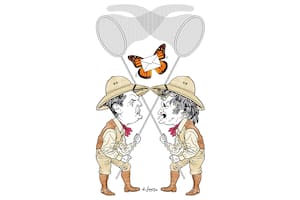 Sergio Massa y Javier Milei