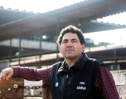 Sergio Pedace, vicepresidente de Camya, quien puso en duda el trabajo del Ipcva