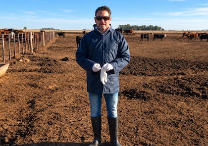 Sergio Sánchez Bruni, investigador principal del Conicet, encabezó el estudio realizado en 27 feedlots argentinos