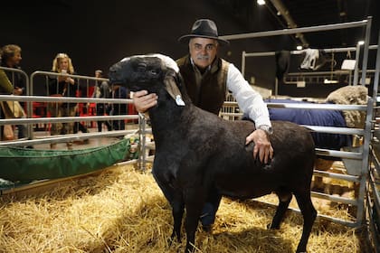 Sergio Taffarel con uno de sus ovinos de la raza Santa Inés