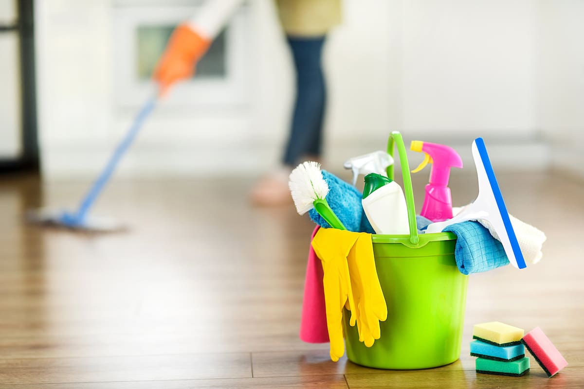 Servicio Domestico