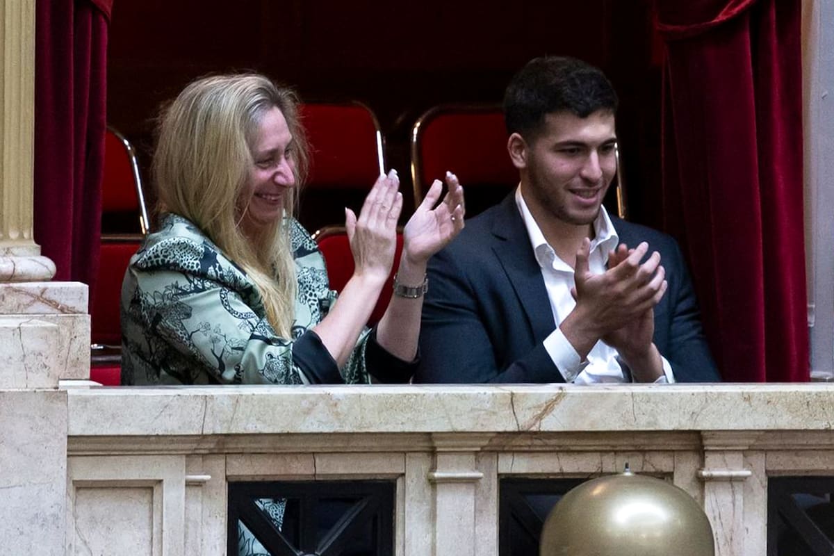 Sesión de diputados, media sanción ficha limpia.