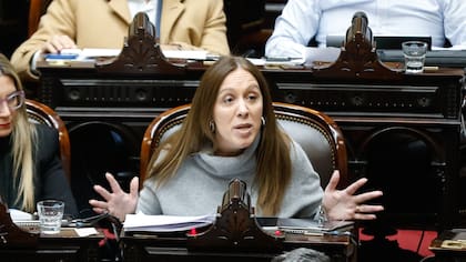 Sesión de la cámara de Diputados, para tratar la ley de Reforma Jubilatorio. María Eugenia Vidal