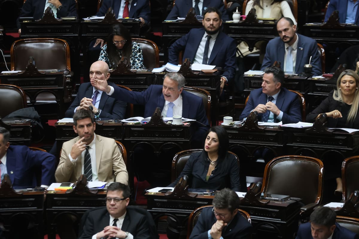 Sesión del jueves en la Cámara de Diputados para tratar el tema jubilaciones, sistema de salud y discapacidad