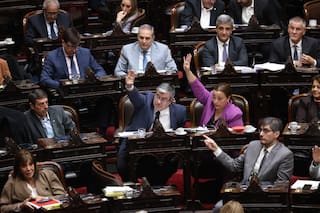 La oposición convocó a una sesión especial por discapacidad, morosidad y el DNU 70/23