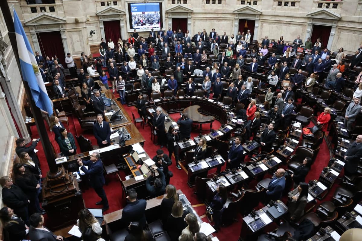 Sesión en Diputados por la Lay de Discapacidad y aumento a los jubilados