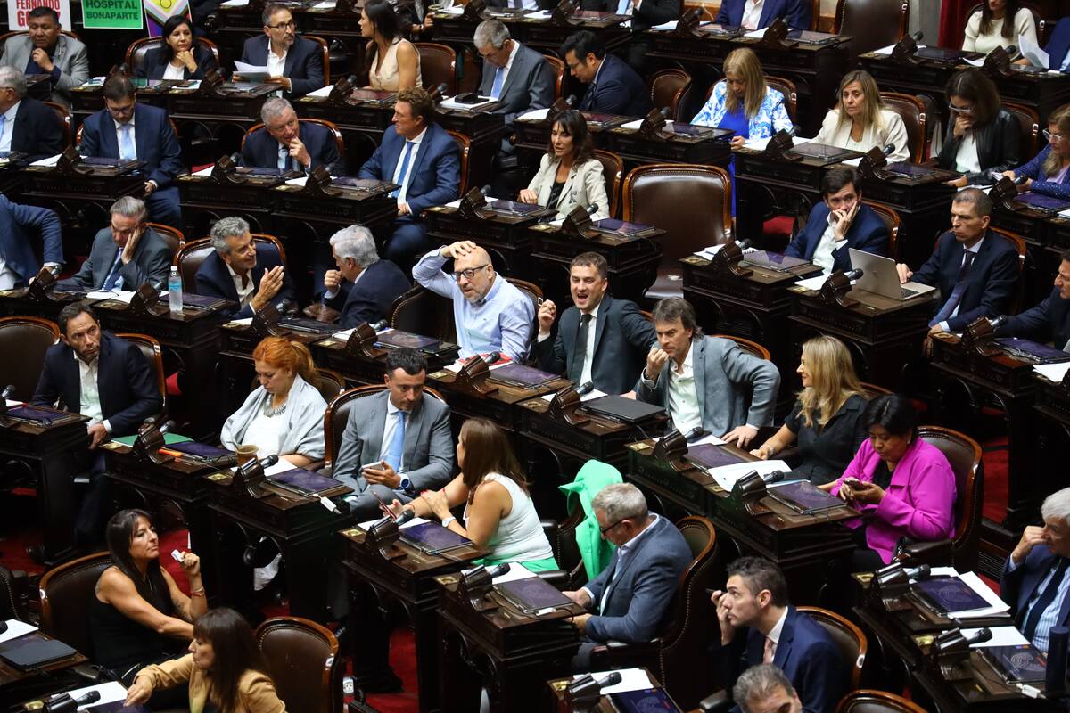 Sesión en Diputados por la suspensión de las PASO. En este momento Tema paredon limitrofe y justicia en Salta por tema narcotrafico. En tratamiento de cuestiones de privilegio