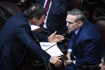 Sesion en el Senado de la Nacion por el proyecto de ley de financiamiento de los partidos politicos, el 20 de Marzo de 2019, en Buenos Aires; Argentina. Foto: Charly Diaz Azcue / ComunicaciÛn Senado.