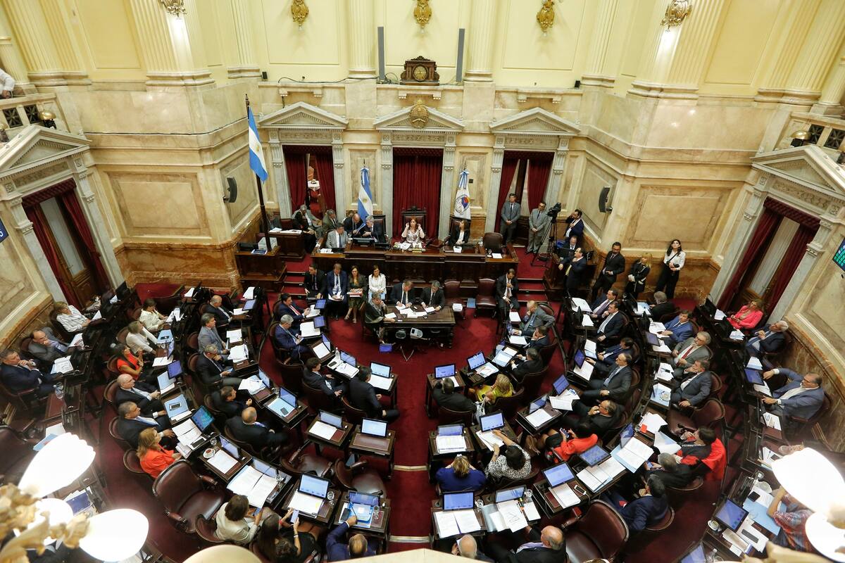 Sesión en el Senado por la ley de emergencia económica