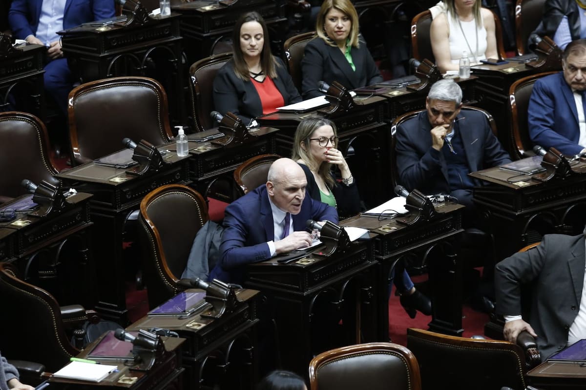 Sesión especial en Diputados
