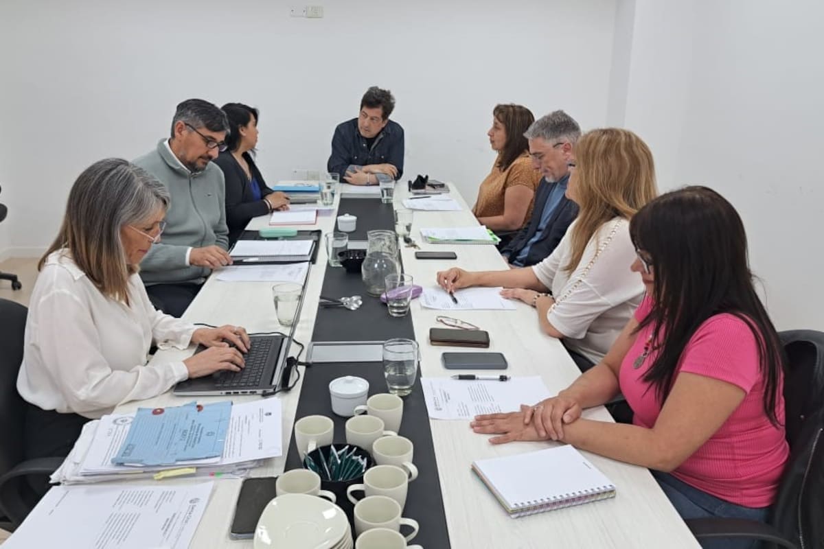 Sesión extraordinaria del Consejo Provincial de Educación de Santa Cruz, presidida por el profesor Daniel Busquet