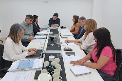 Sesión extraordinaria del Consejo Provincial de Educación de Santa Cruz, presidida por el profesor Daniel Busquet