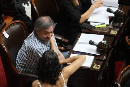 Sesión maratónica en la cámara de Diputados para tratar la Ley ómnibus