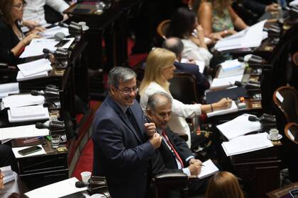 Sesión maratónica en la cámara de Diputados para tratar la Ley ómnibus