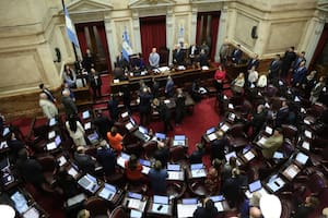 Senado, en vivo: se vota el pliego de Michelli y otras medidas del Gobierno