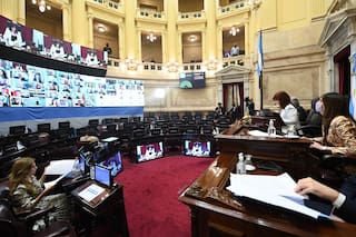 Senado: Cristina, en una tregua, prepara su ofensiva legislativa para fin de año