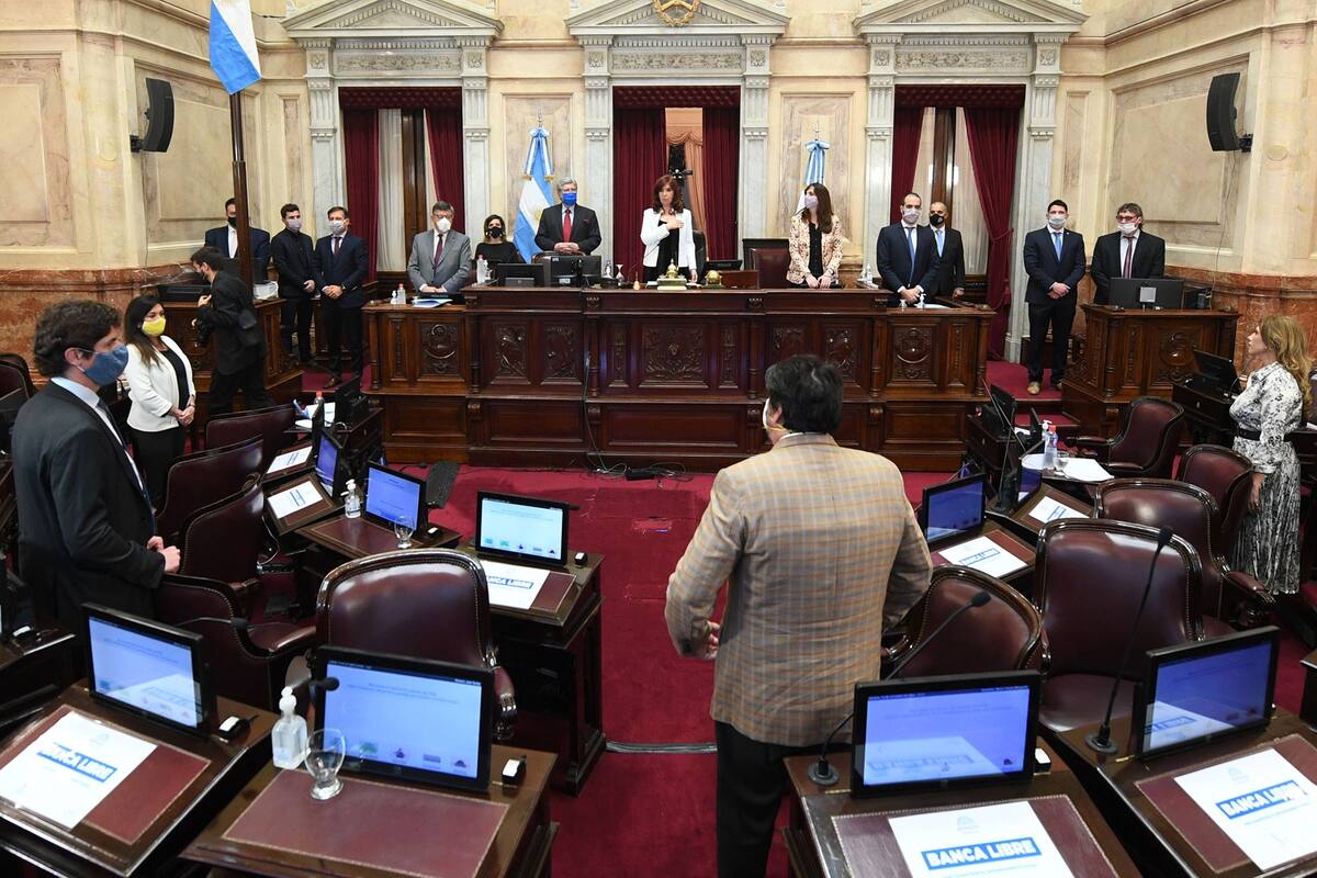 Sesión ordinaria remota del Honorable Senado de la Nación, el 15 de octubre