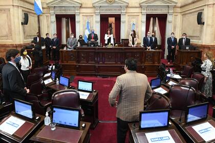 Sesión ordinaria remota del Honorable Senado de la Nación, el 15 de octubre