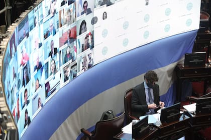 Sesión remota en el Congreso