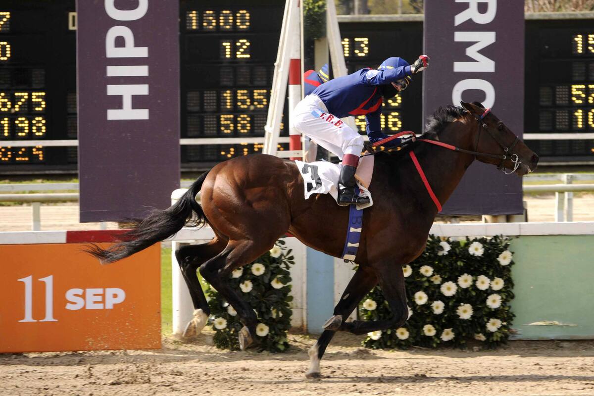 Seteado Joy se impuso por tres cuerpos en el Juvenile