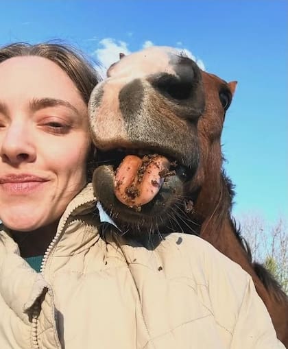 Seyfried y la vida en el campo
