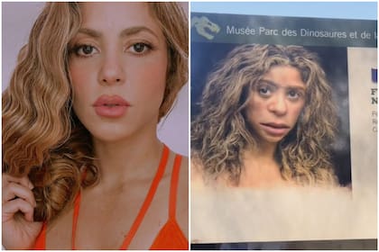 Shakira se volvió tendencia luego de que una persona fuera de visita a un museo en París y la comparara con una imagen