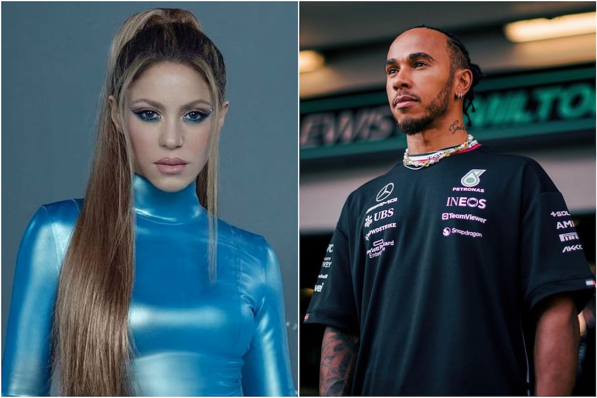 Shakira y Lewis Hamilton comparten su pasión por los deportes acuáticos arriba de tablas