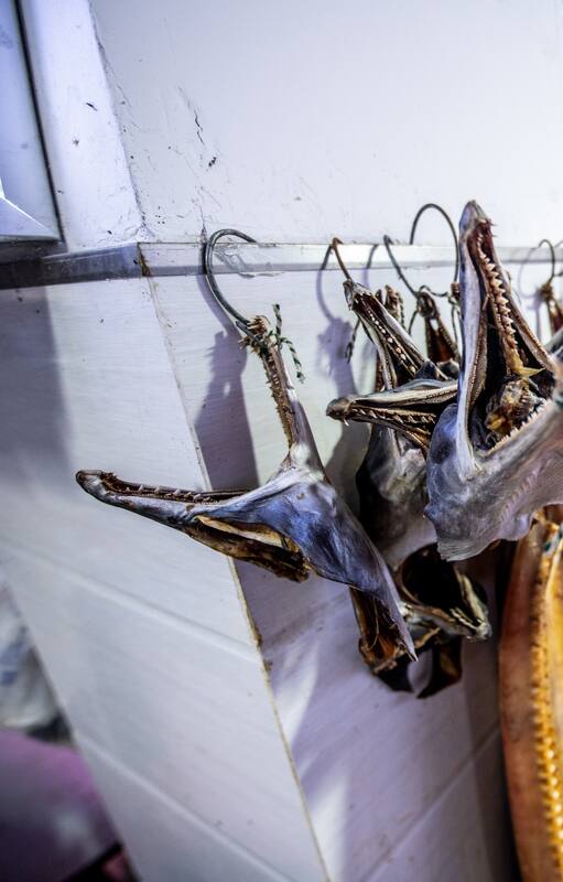 Shanghai, China, 26th Jan 2020, Skulls of moray eel hang on display in seafood market. (Photo by: Edwin Remsberg/VWPics/Universal Images Group via Getty Images)