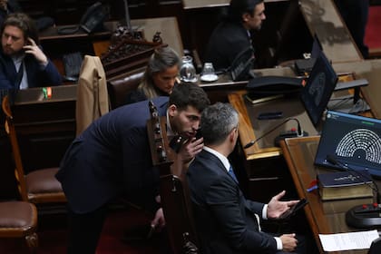 Sharif Menem habla con Martín Menem durante la última sesión en Diputados